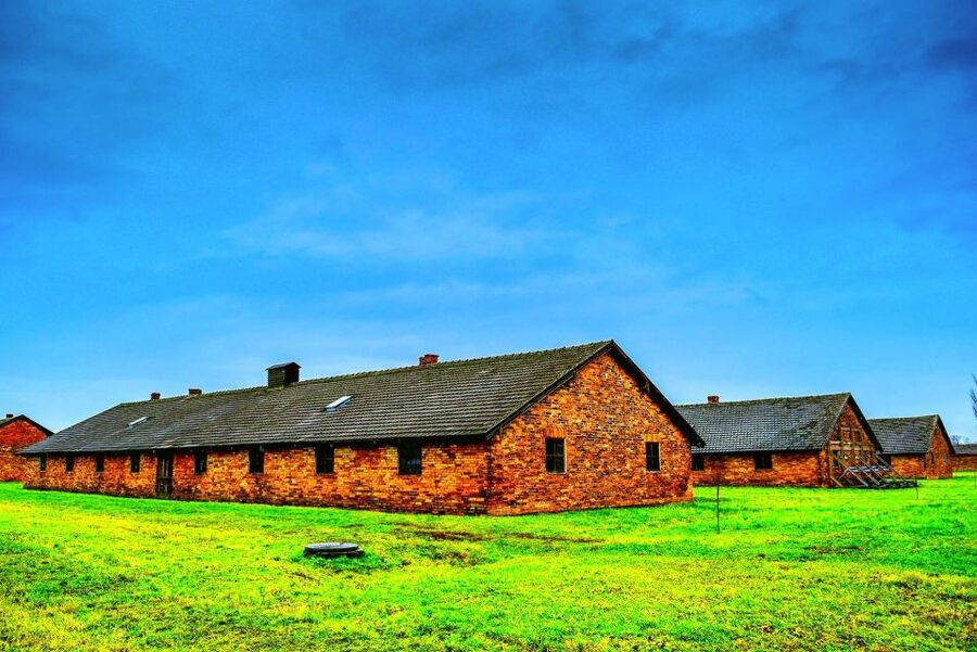 Krakow: Auschwitz Guided Tour with Optional Hotel Pickup - The guide makes the difference