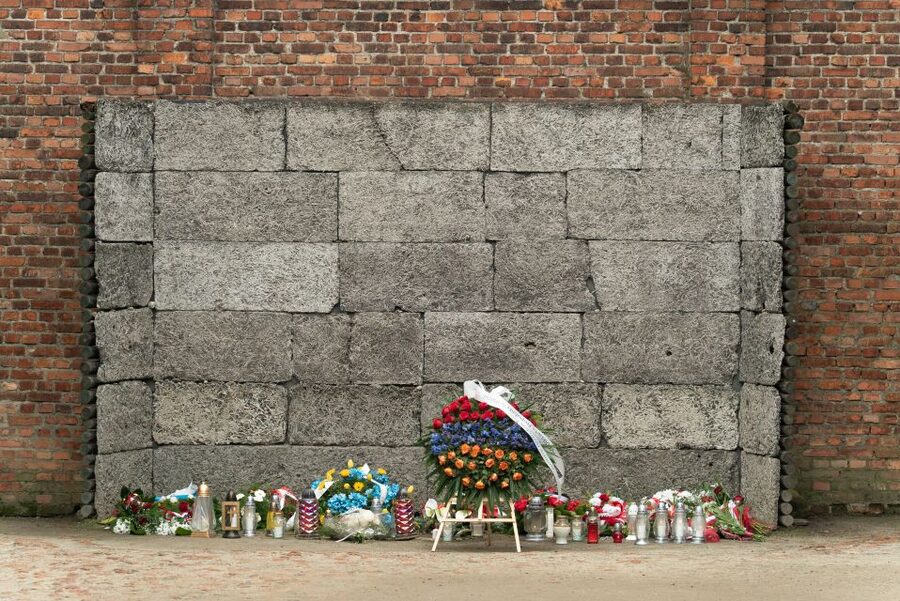 Krakow: Auschwitz Guided Tour with Pickup and Optional Lunch - Birkenau and the scale of the camp