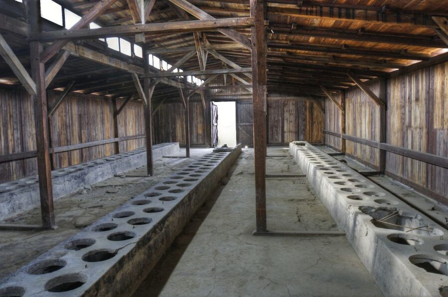 Krakow: Auschwitz Guided Tour with Pickup and Optional Lunch - The ride back and central drop-off