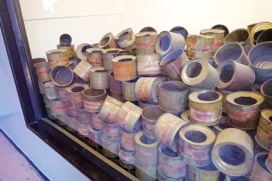 Krakow: Auschwitz Guided Tour with Pickup and Optional Lunch - Cost, timing, and the real value