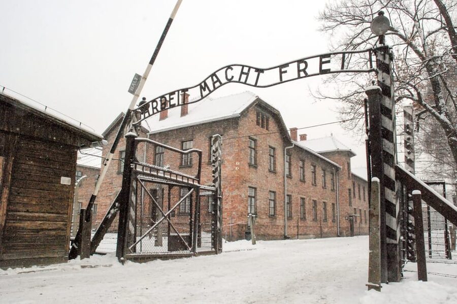 Krakow: Auschwitz & Wieliczka Salt Mine Guided Day Tour - What the $54 price really includes