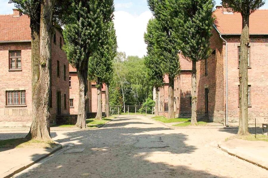 Krakow: Auschwitz & Wieliczka Salt Mine Guided Day Tour - Who should choose this combined tour
