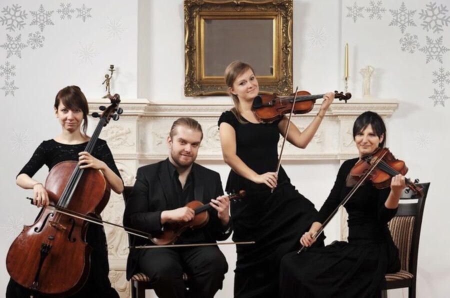 Krakow: Christmas Music Concert With Wine - Who should book this Krakow concert