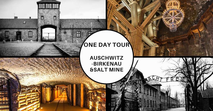 Krakow: Full-Day Auschwitz-Birkenau & Salt Mine Guided Tour - Key points to know before booking