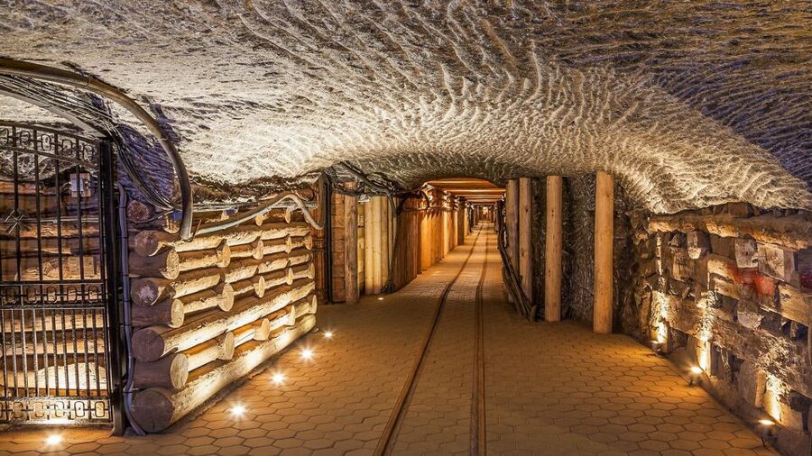 Krakow: Full-Day Auschwitz-Birkenau & Salt Mine Guided Tour - Who should book this day trip?