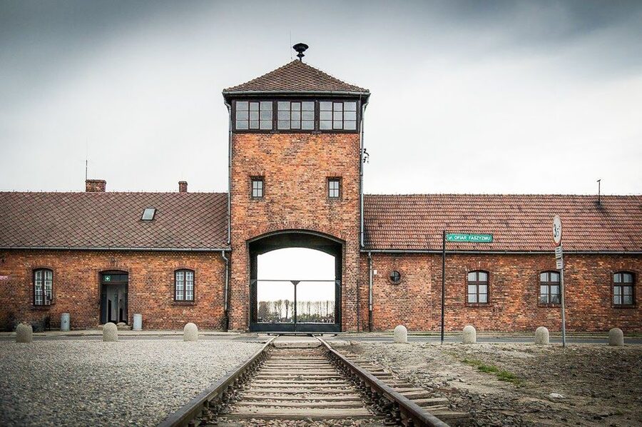 Krakow: Full-Day Auschwitz-Birkenau & Salt Mine Guided Tour - Transport, groups, and guiding