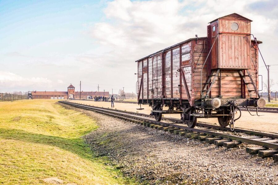 Krakow: Full-Day Auschwitz-Birkenau & Salt Mine Guided Tour - Is $118 good value?