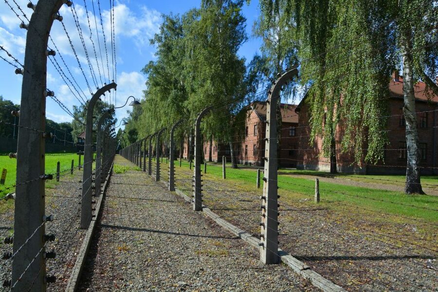 Krakow: Guided Auschwitz Birkenau Tour - Why this Krakow day trip matters