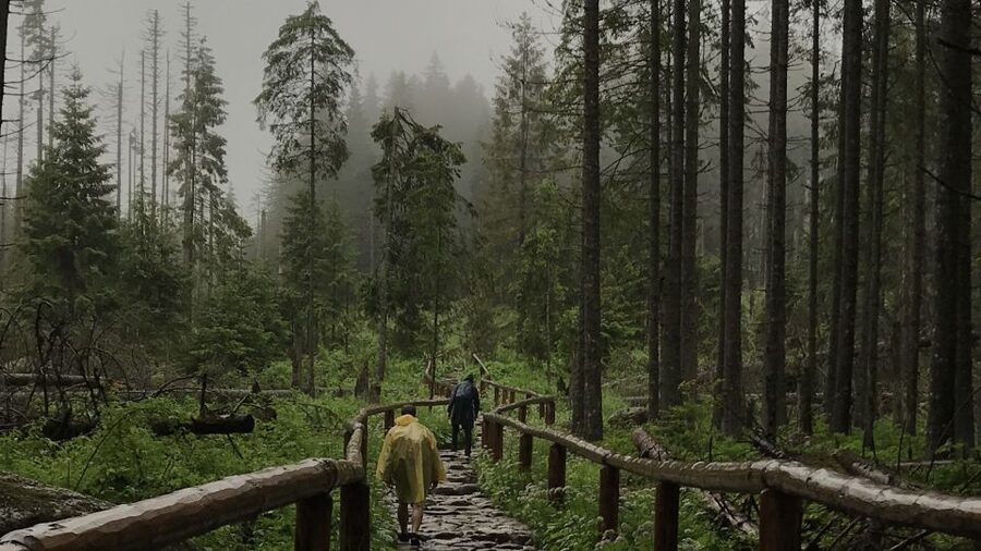 Krakow: Hiking Adventure in Tatra Mountains & Thermal Baths - Why this Krakow day trip works