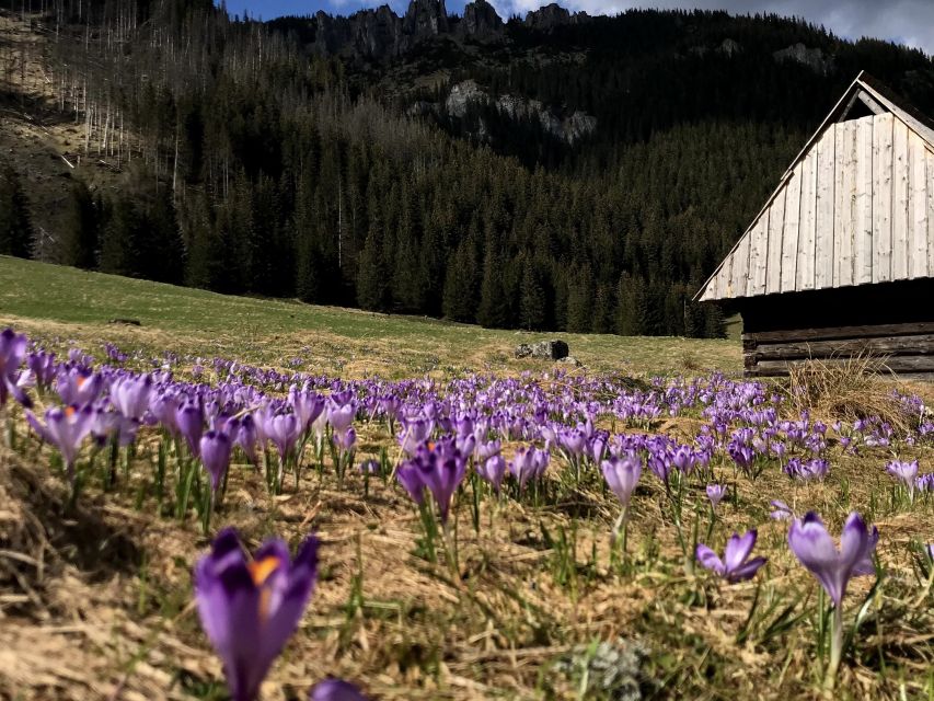 Krakow: Hiking Adventure in Tatra Mountains & Thermal Baths - Who should book this mountain and spa combination?