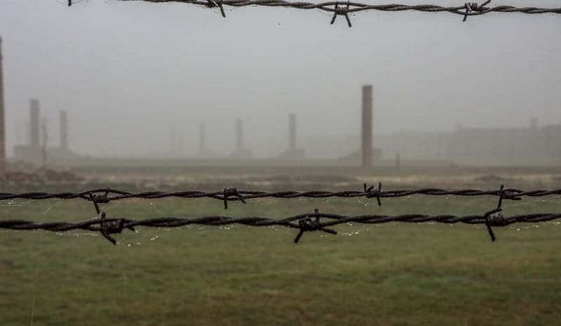 Krakow: Last Minute Auschwitz-Birkenau Guided Tour - What the $80 price really covers