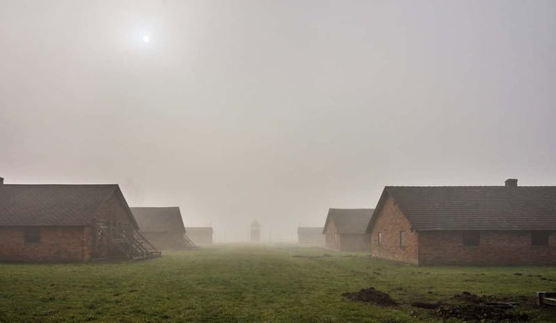 Krakow: Last Minute Auschwitz-Birkenau Guided Tour - Timing, crowds, and the shape of the day