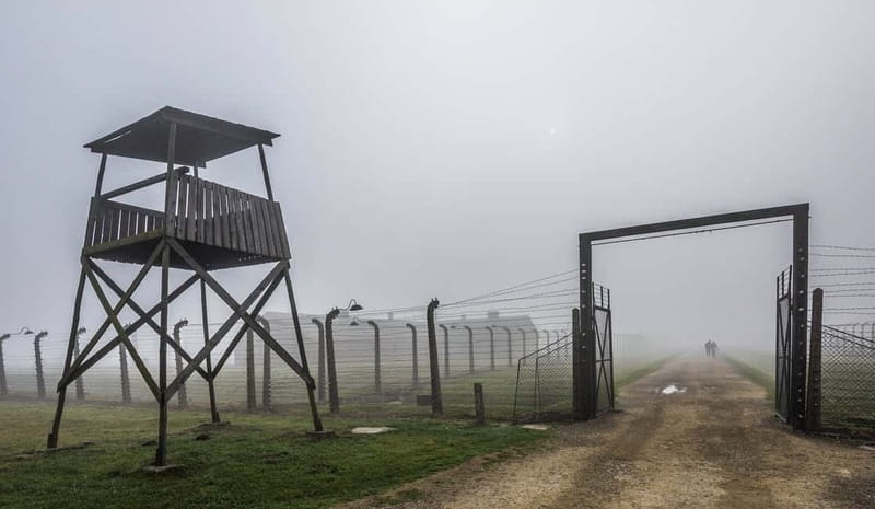 Krakow: Last Minute Auschwitz-Birkenau Guided Tour - Language and guide quality