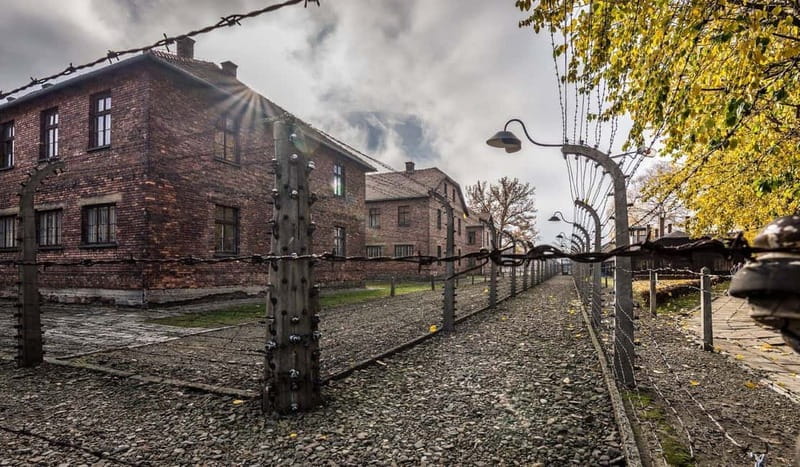 Krakow: Last Minute Auschwitz-Birkenau Guided Tour - Practical rules that affect your visit