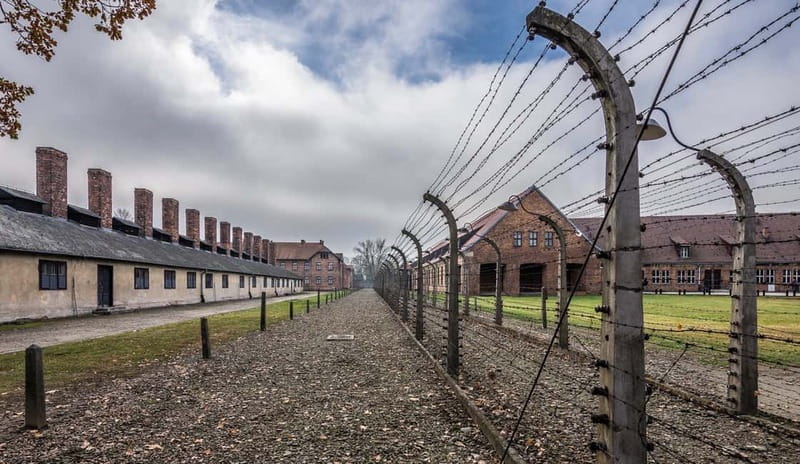 Krakow: Last Minute Auschwitz-Birkenau Guided Tour - Who should book this Auschwitz tour?