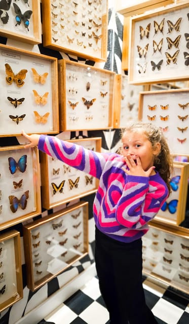Krakow: Museum of Living Butterflies 2+1 - Why a living butterfly museum feels different