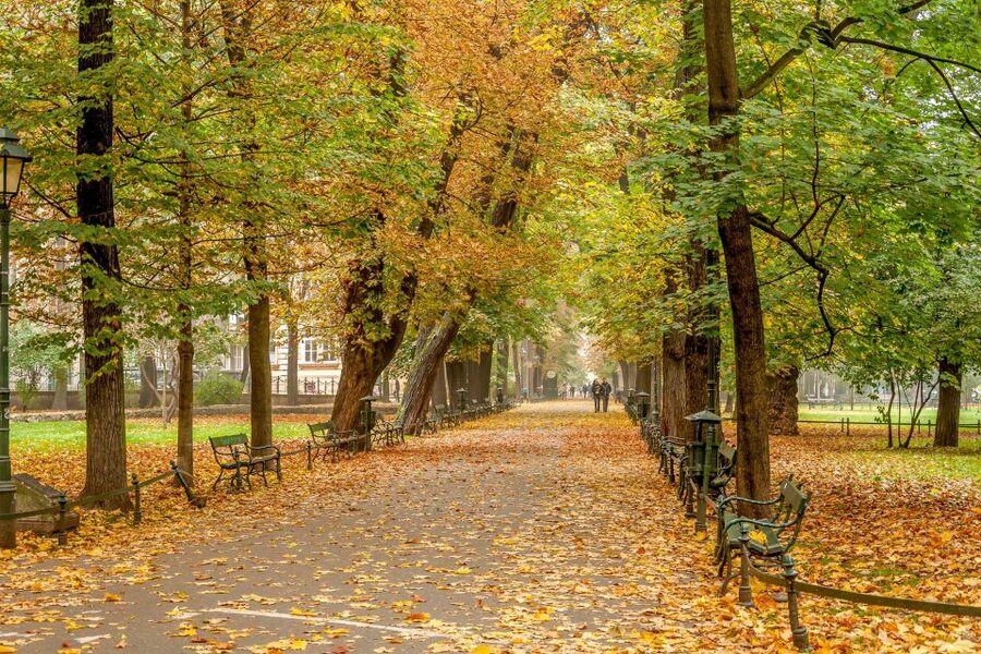 Krakow: Old Town Guided Walking Tour - The guides are the main reason to choose this walk