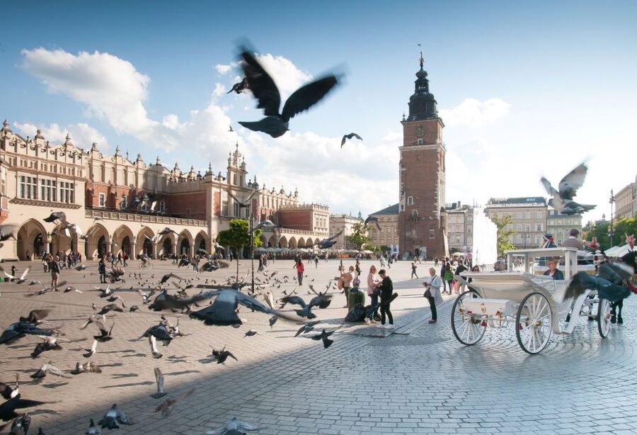 Krakow: Old Town Private Guided Walking Tour - Starting at Florian’s Gate, Krakow’s old front door