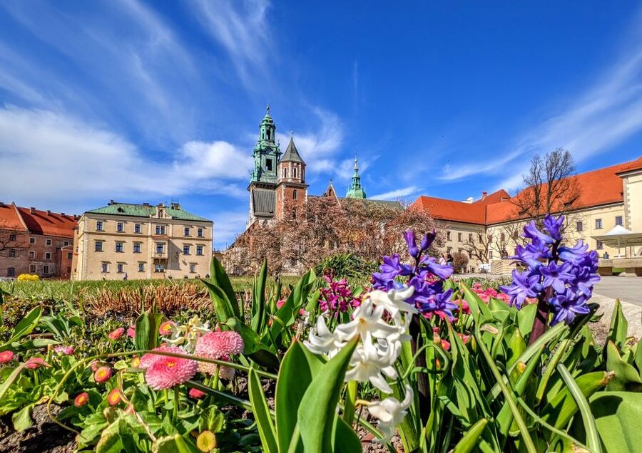 Kraków: Old Town & Wawel Castle Walking Tour in English - Wawel Hill, the cathedral, and the royal courtyard