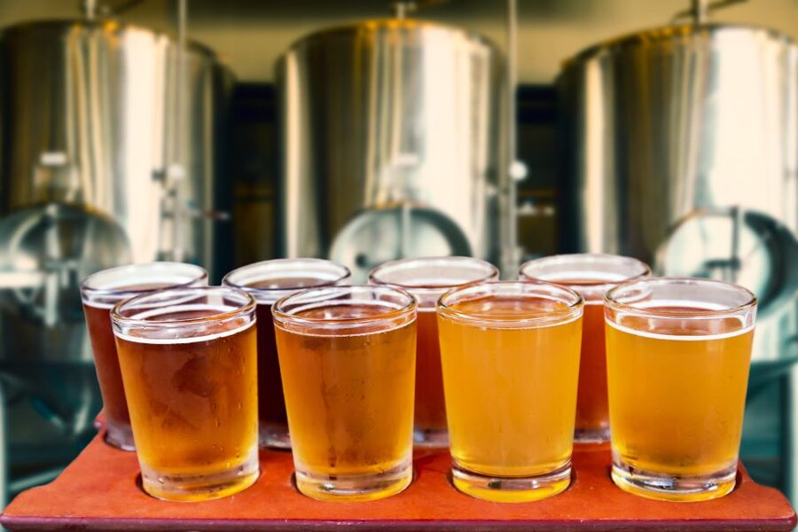 Krakow: Private Polish Beer Tasting Tour with a Beer-Expert - What the two-hour Krakow beer tasting covers