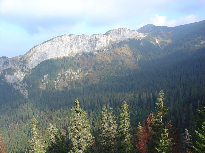 Krakow: Tatra Mountains and Zakopane Full-Day Private Tour - Great Krokiew and Poland’s ski-jumping tradition