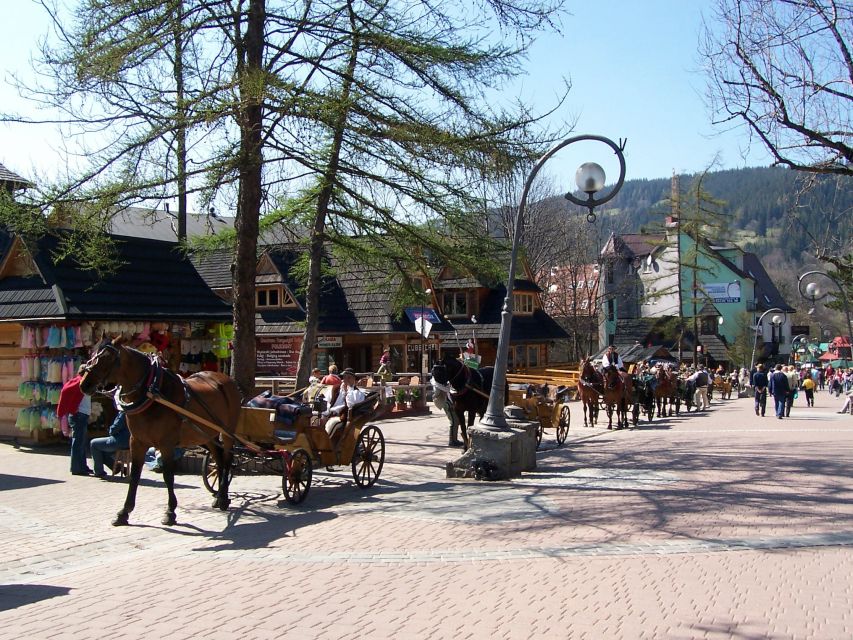 Krakow: Tatra Mountains and Zakopane Full-Day Private Tour - What the private format changes