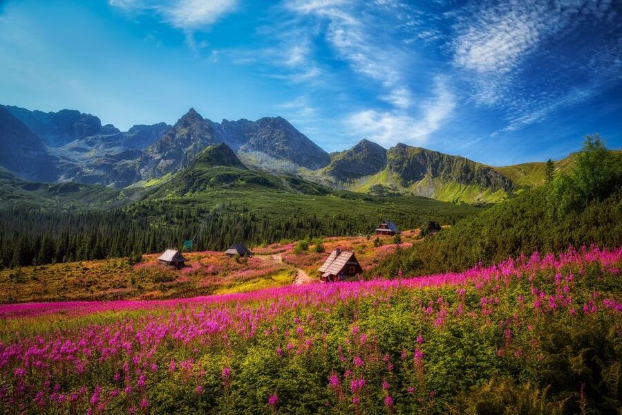 Krakow: Tatra Mountains and Zakopane Full-Day Private Tour - Krupowki Street: Zakopane’s lively center