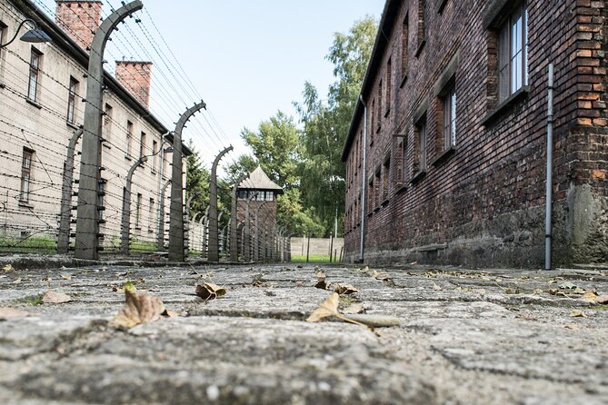Krakow to Auschwitz Birkenau Guided Tour with Ticket and Transfer - The 65-kilometre trip from Krakow