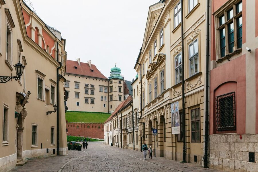 Krakow: Wawel Royal Hill with Optional Castle and Cathedral - Is $19 good value?