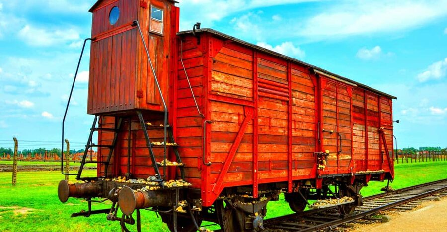 Krakow: Wieliczka Salt Mine and Auschwitz-Birkenau Tour - The transfer and lunch break between the sites