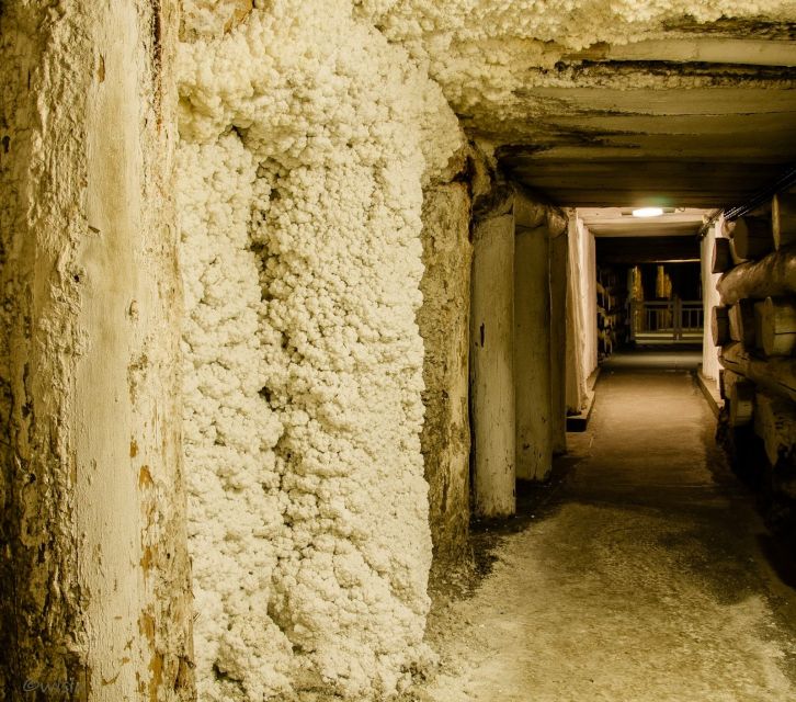 Krakow: Wieliczka Salt Mine Skip-the-Line Live Guided Tour - Crowds, group size, and the skip-the-line promise