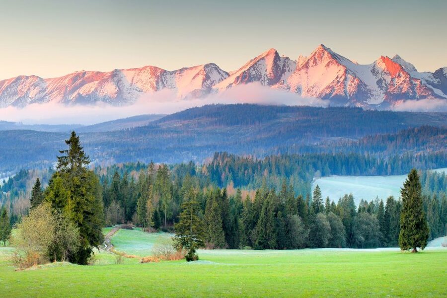 Krakow: Zakopane Day Tour with Optional Thermal Baths - What the $103 price really covers
