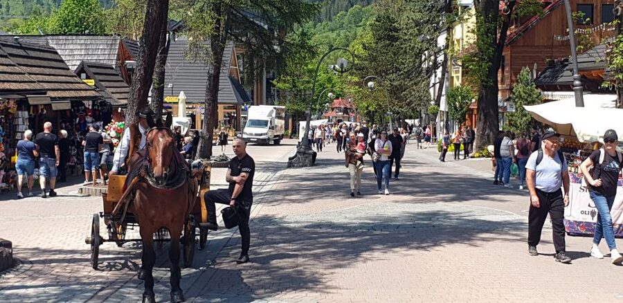 Krakow: Zakopane, Funicular, Cheese, and Highland Day Trip - Wielka Krokiew, Zakopane’s ski jump