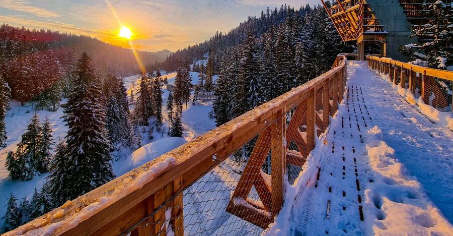 Krakow: Zakopane, Thermal Baths and Gorce Park Treetop Walk - What the treetop walk is, and what it is not