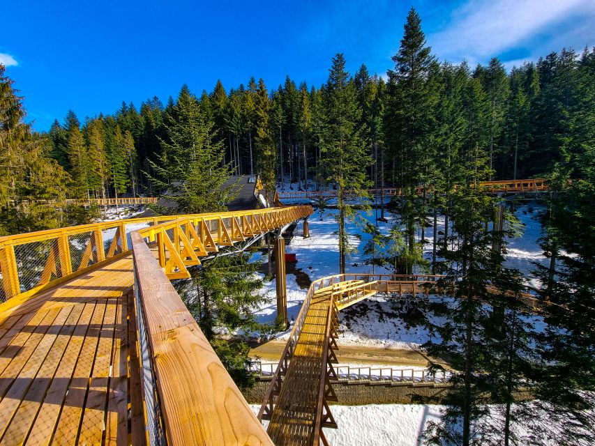 Krakow: Zakopane, Thermal Baths and Gorce Park Treetop Walk - Who will enjoy this day most