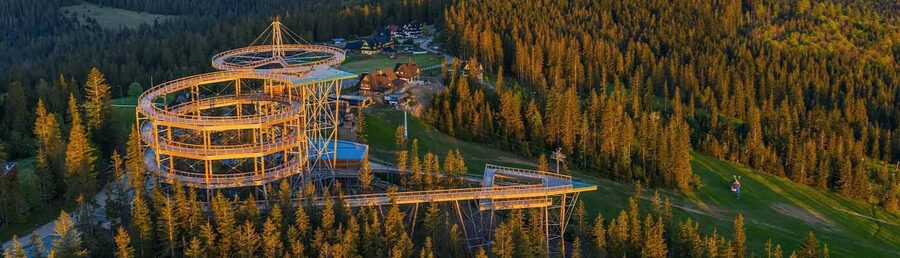 Krakow: Zakopane, Thermal Baths and Gorce Park Treetop Walk - Walking above the forest at Brama w Gorce