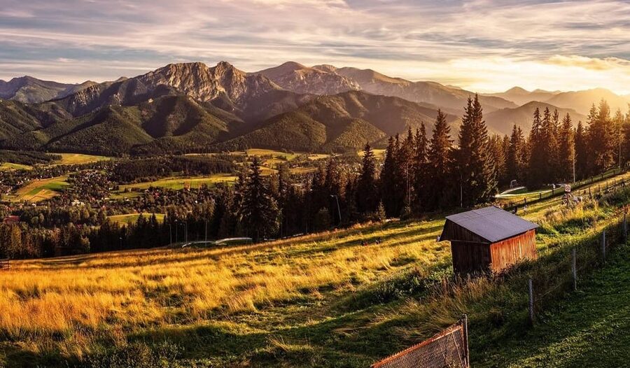Krakow: Zakopane, Thermal Springs, Cable Car, Local Tasting - Who will enjoy this tour most