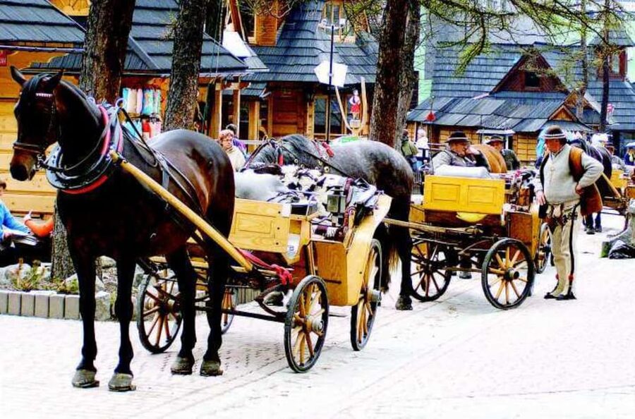 KRAKOW ZAKOPANE TOUR CABLE CAR THERMAL BATHS & HOTEL PICKUP - Oscypek, Poland’s smoky highland cheese