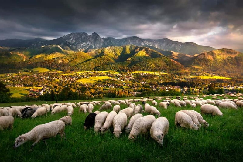 Krakow: Zakopane Trip with Thermal Pools & Hotel Pick-up - Chocholow and its old wooden homes