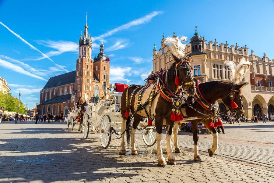 Krakow: Zoo Tour with Private Transport and Tickets - What the walking means in practice