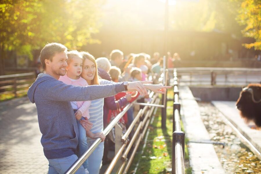 Krakow: Zoo Tour with Private Transport and Tickets - Should you book the Krakow Zoo tour?