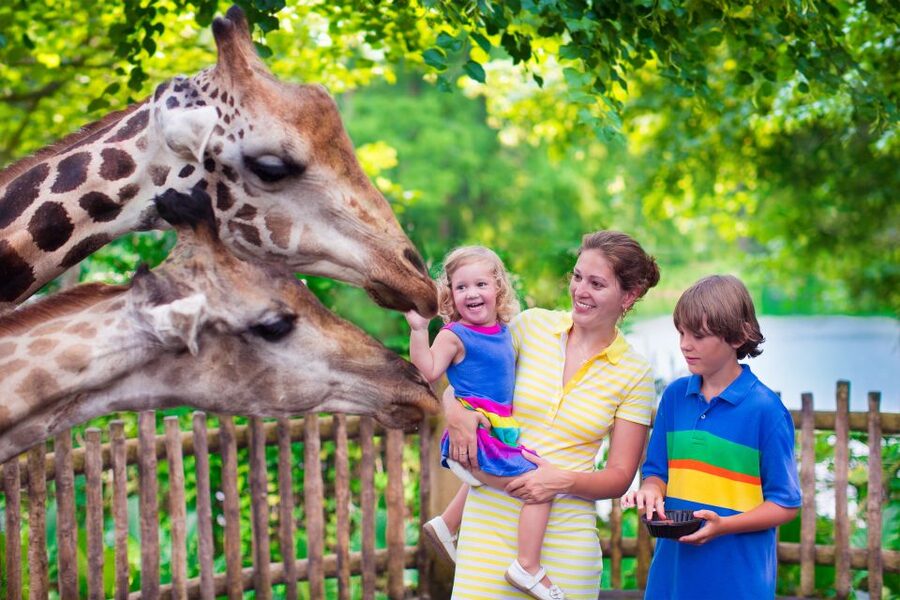 Krakow: Zoo Tour with Private Transport and Tickets - Entering with skip-the-line tickets