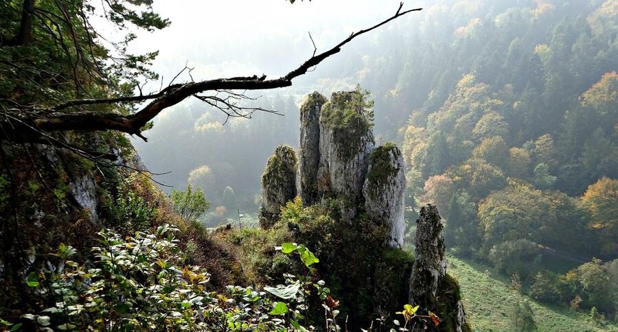Ojcow National Park: Full-Day Trip from Krakow - Gothic ruins in the middle of the park