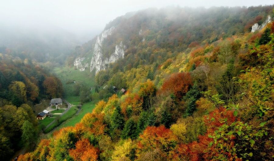 Ojcow National Park: Full-Day Trip from Krakow - Hercules’ Club and the value of a good photo stop