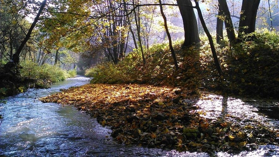 Ojcow National Park: Full-Day Trip from Krakow - Is $153 a fair price?