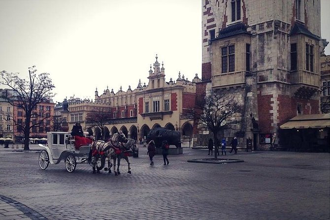 Old Town Krakow & Wawel Castle Walking Tour - Collegium Maius and the World of Copernicus