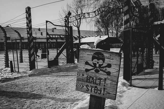 Private Guided Tour Auschwitz Birkenau with Transport from Krakow - Group size, comfort, and pace