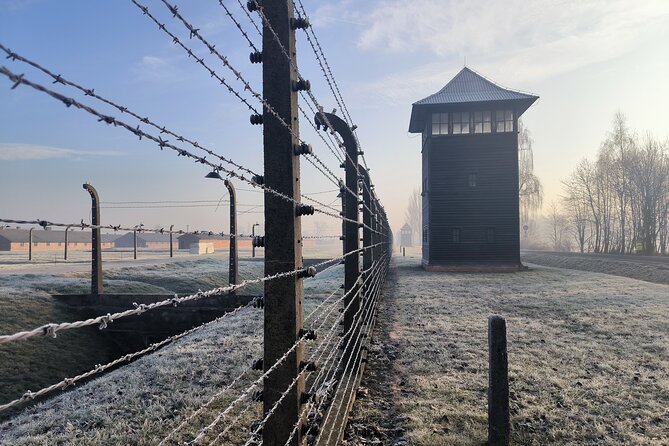 Private Guided Tour to Auschwitz & Birkenau from Krakow - The Judenrampe and the process of selection