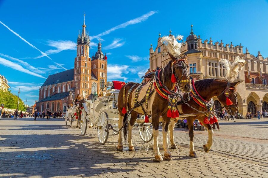 Private Krakow Tour: St. Mary’s, Cloth Hall & More - How the private guide changes the experience