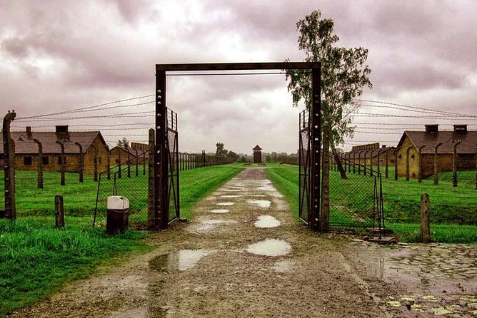 Private Tour to Auschwitz & Birkenau from Katowice - Birkenau and the scale of the killing